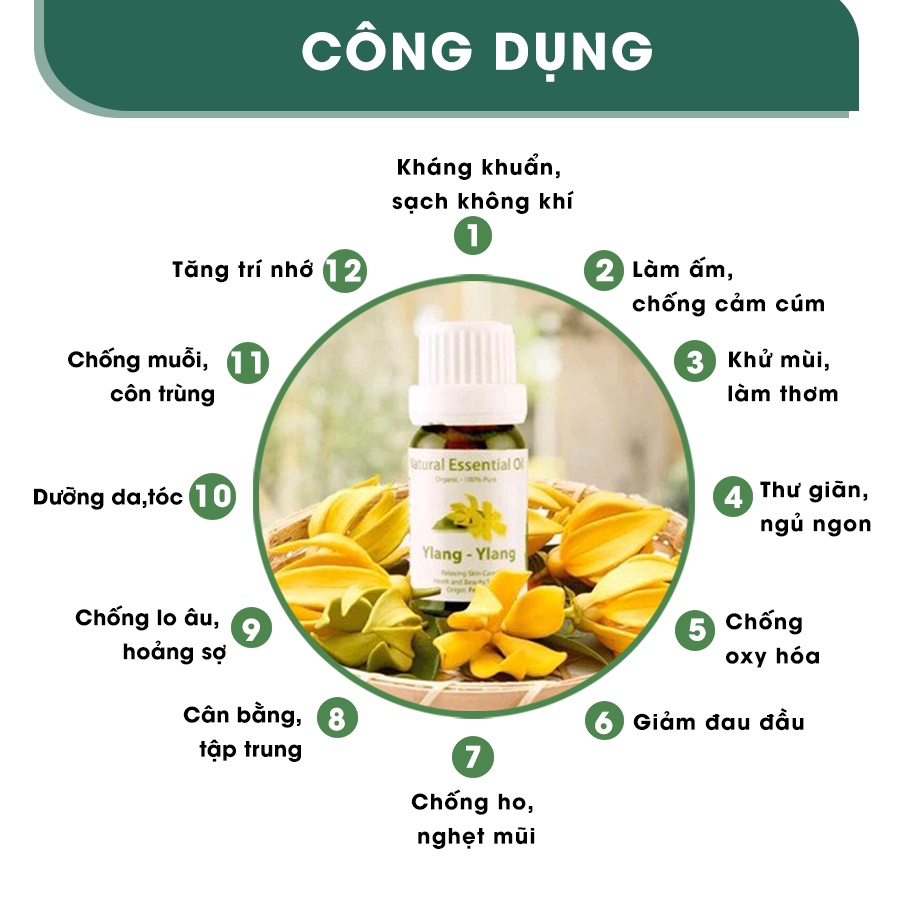 Tinh dầu xông phòng AROMA Hương Hoa Ngọc Lan Tây - Ylang &amp; Ylang 10ml