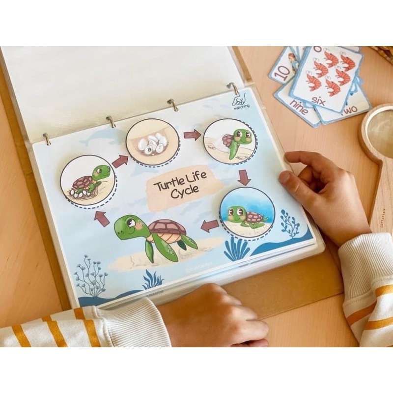 Học liệu montessori đại dương bao la dành cho bé yêu