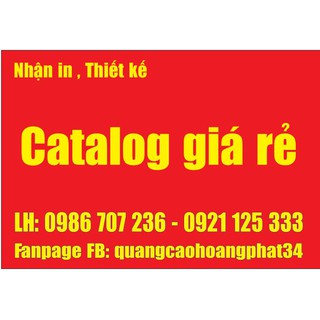 IN + Thiết kế CATALOG giá rẻ