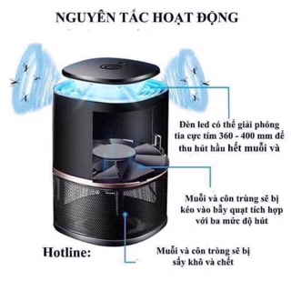 Đèn bắt muỗn