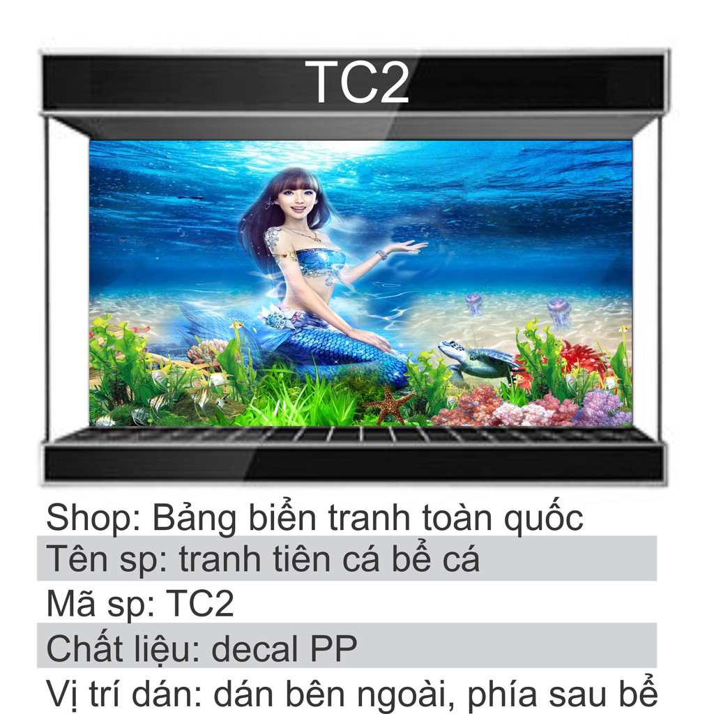 Tranh 3D dán bể cá mẫu tiên cá TC2