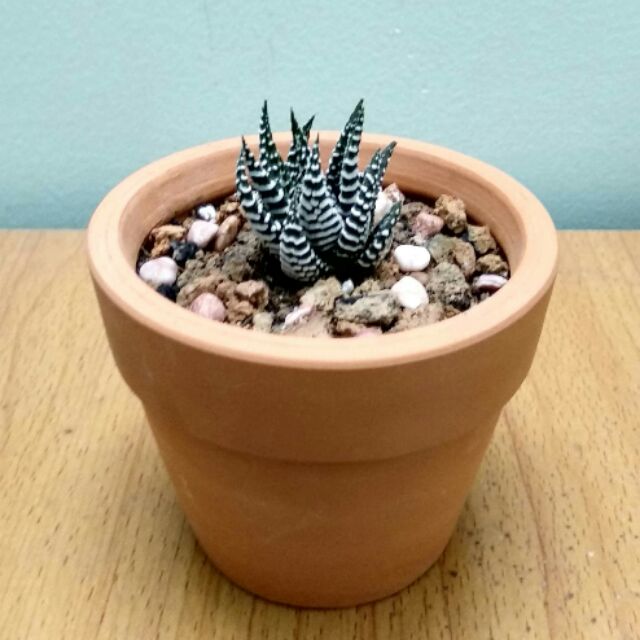 yourbeautymyhappiness