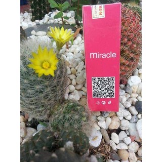 Miracle Tinh dầu thơm từ Pháp Hparfum