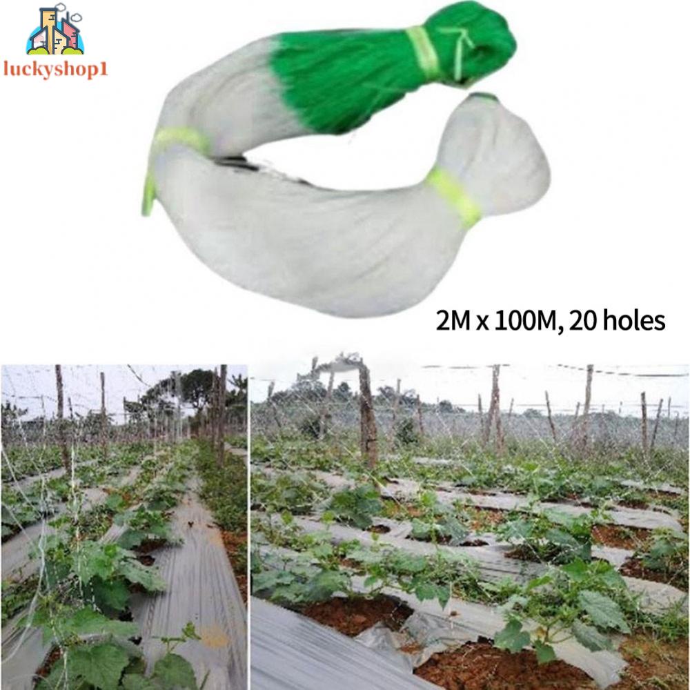 Lưới Trồng Cây Dây Leo Chống Ăn Mòn Chống Lão Hóa Siêu Bền Dễ Lắp Đặt