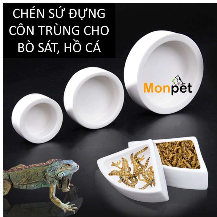 Chén ăn bát sứ ăn đựng côn trùng cho bò sát, hồ cá