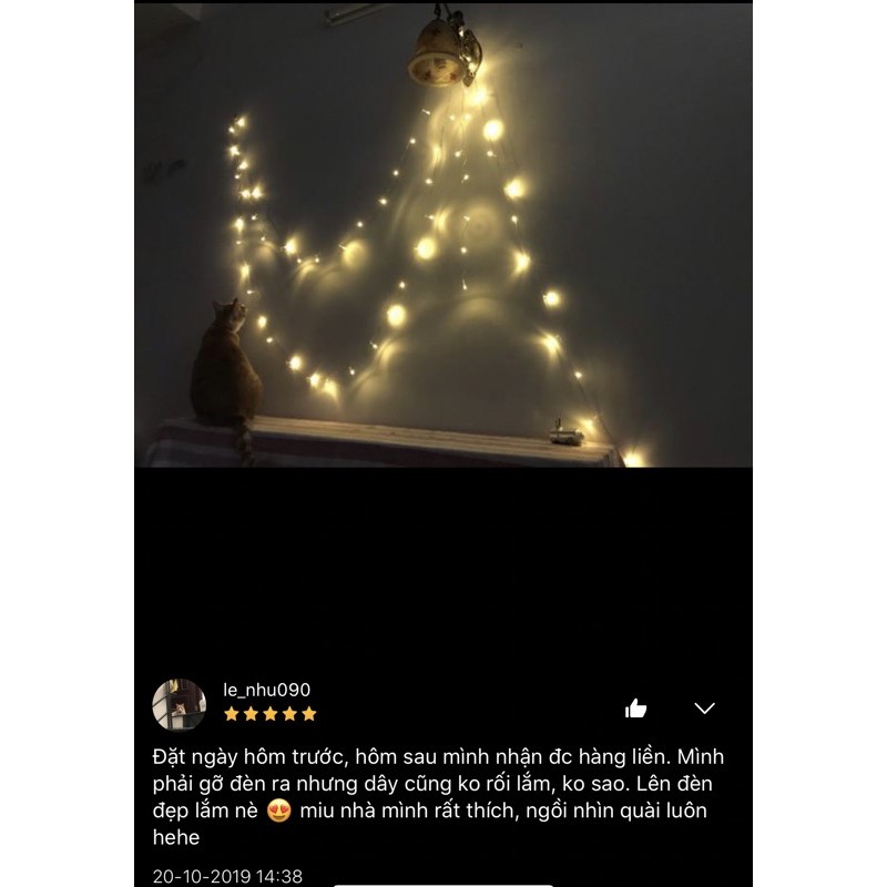 Dây Đèn Trang Trí Fairy Light 8 mét Không Nháy | BigBuy360 - bigbuy360.vn