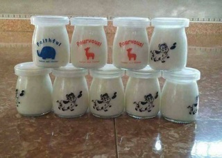 Combo 12 hũ làm sữa chua