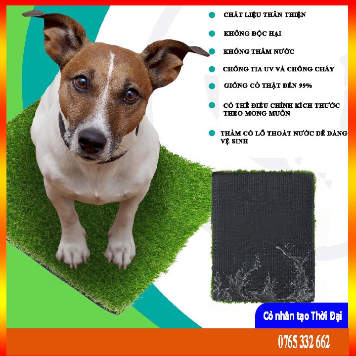 Thảm lót cỏ nhân tạo tiện dụng cho thú cưng, hãng CCGRASS, Màu xanh tươi giống cỏ tự nhiên, Kích thước [ 0,5m x 0,5m ]