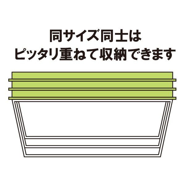 Set 2 hộp nhựa đựng thực phẩm nắp dẻo 600ml Made in Japan | BigBuy360 - bigbuy360.vn