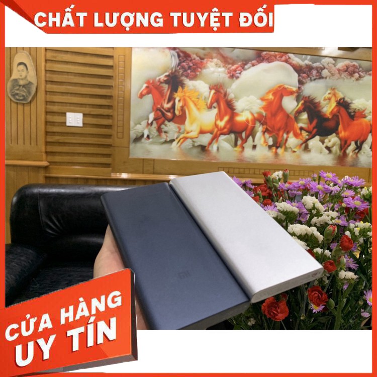 [CHẤT LƯỢNG SỐ 1]  Pin sạc dự phòng Xiaomi 2S 10000mAh Hàng chính hãng DGW