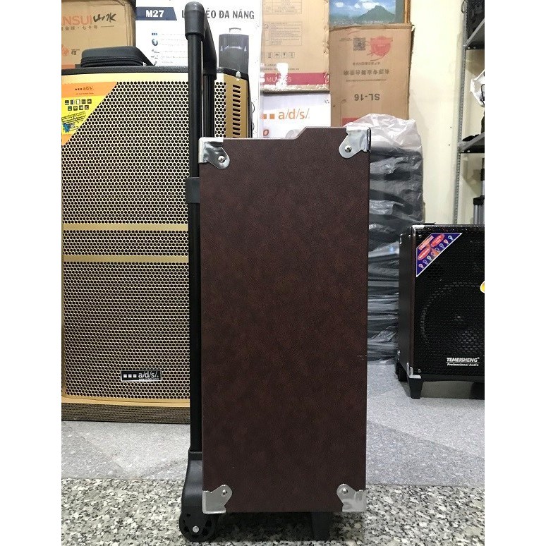 Loa karaoke hay, bền giá rẻ Temeisheng Q10S, 500w thùng gỗ, tặng kèm 2 micro không dây