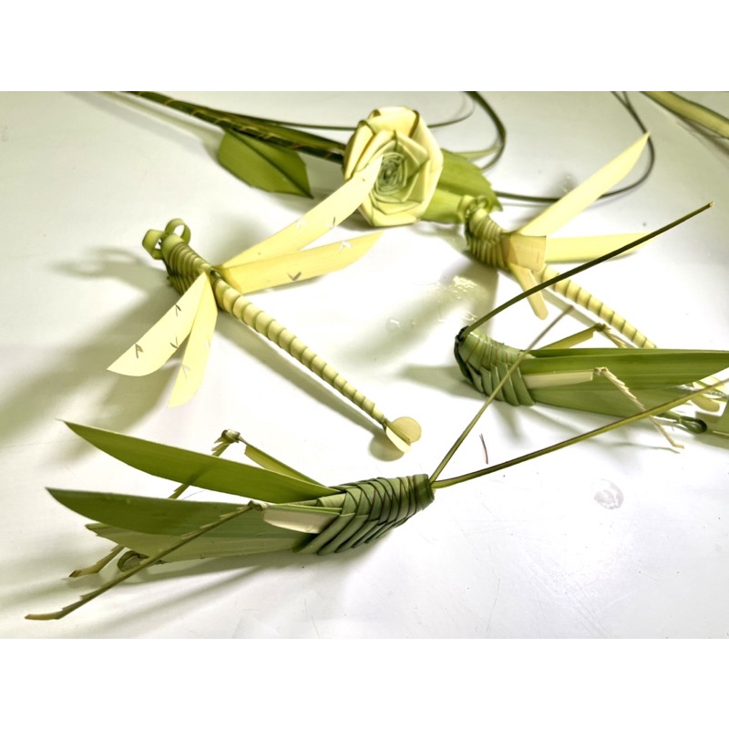 Chuồn Chuồn Làm Từ Lá Dừa An Toàn Không Độc Hại