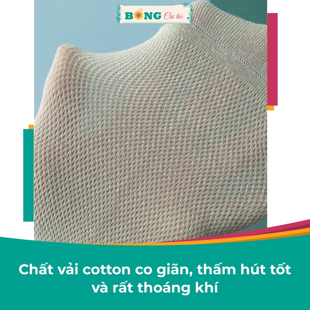 Tất nữ cổ ngắn nhiều màu chất cotton mềm mịn, co giãn 4 chiều phong cách Hàn Quốc TC30 - Vớ BÔNG Cài Tóc