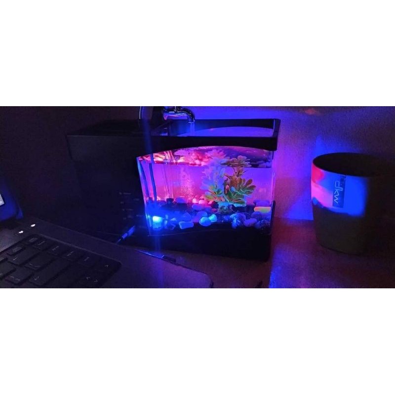 Bể cá điện mini