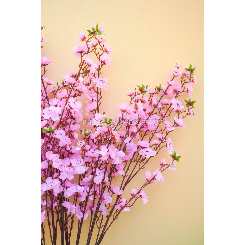 [HCM] 01 CÀNH MAI ĐÀO LÁ - CAO 1m - TRANG TRÍ TẾT LOẠI ĐẸP