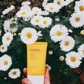 Kem chống nắng  innisfree 50ml
