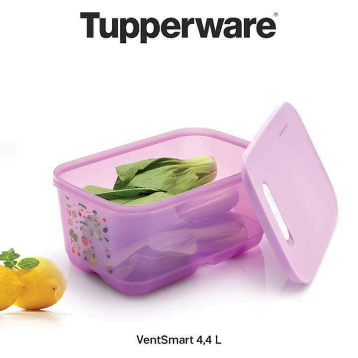 Hộp Đựng Rau Củ Quả Vensmart