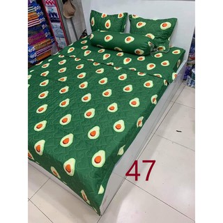 Bộ Chăn Ga Vỏ Gối 5 Món Mẫu Trái Bơ 1m6 x 2m