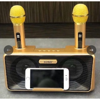Loa Karaoke SDRD SD-301 kèm 2 mic không dây đem lại trải nghiệm âm thanh tuyệt vời Thỏa sức hát hò với bộ loa karaoke