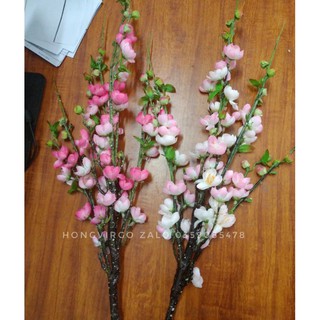 👉 Cành Đào Cổ Trang Trí Decor Siêu Đẹp - HÀNG CAO CẤP