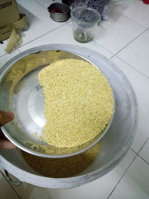 Combo4: 1kg hạt láng yến+1kg hạt kê vàng cho chim