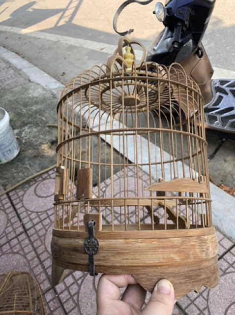 Lồng khuyên lùn nan tre xử lý