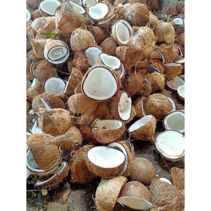 70ml Dầu dừa nấu thủ công nguyên chất thơm lừng