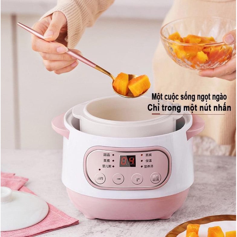 NỒI NẤU CHÁO CHẬM SEKA GT69 MẪU MỚI NHẤT