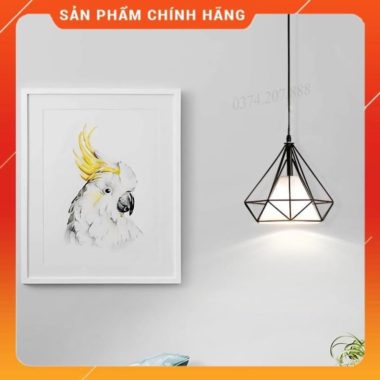 Đèn thả đơn kim cương khung sắt tĩnh điện 250 Đèn Led Chiếu Sáng TC