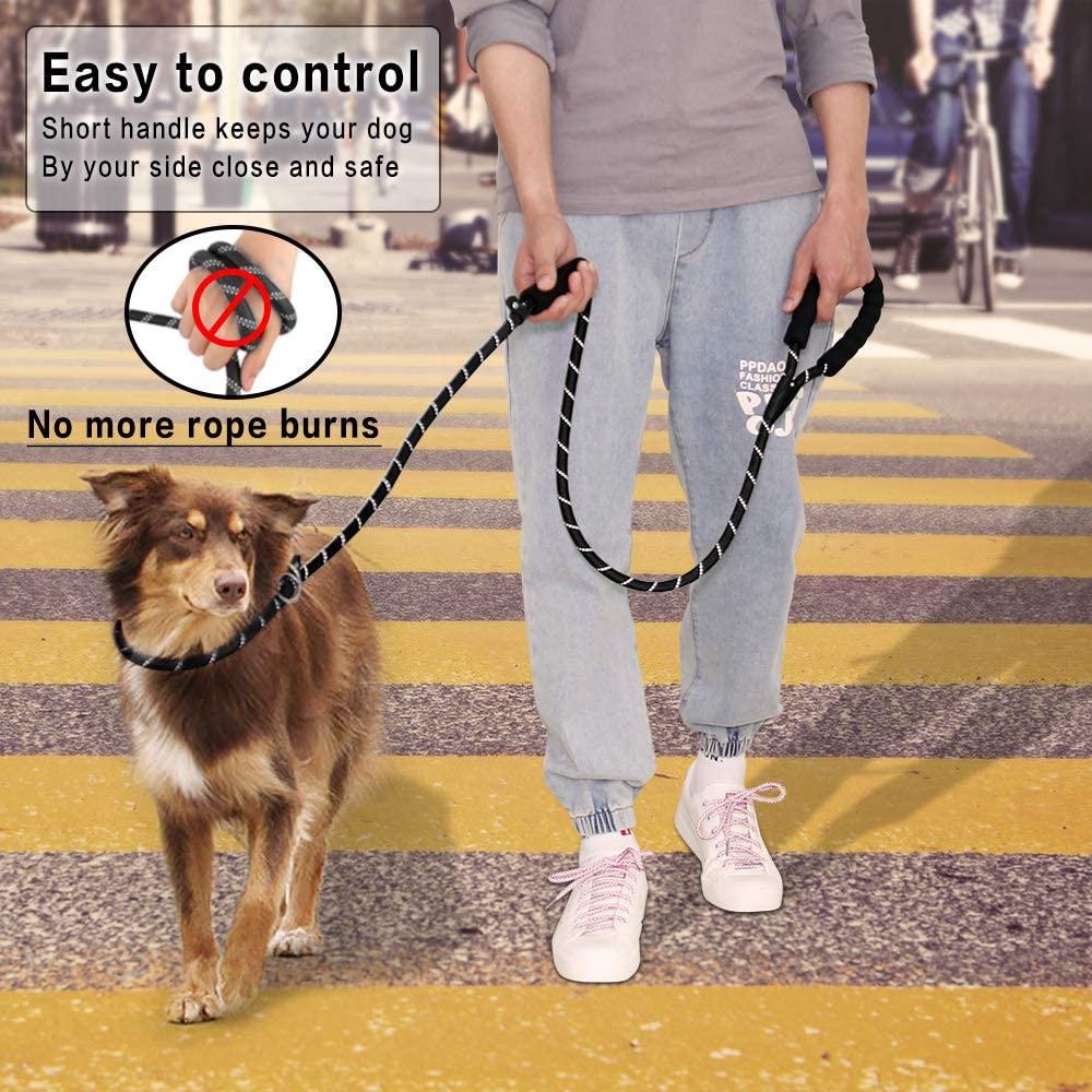 Dây Dắt Thú Cưng Đi Dạo 6FT Phản Quang Tiện Dụng