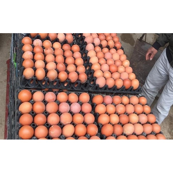 Trứng Gà Công Nghiệp Loại 1 - Đã Kiểm Dịch (Chỉ Giao Quận Tân Phú - HCM)