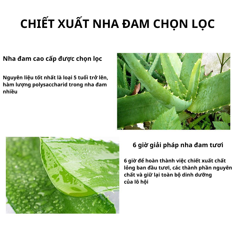 Mặt nạ dưỡng da chống lão hóa dưỡng ẩm trắng da giảm mụn tinh chất lô hội Bioaqua MN21