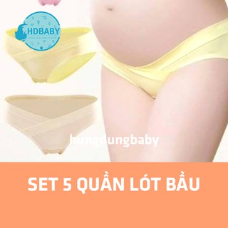 [18K/1C] SET 5 QUẦN LÓT BẦU