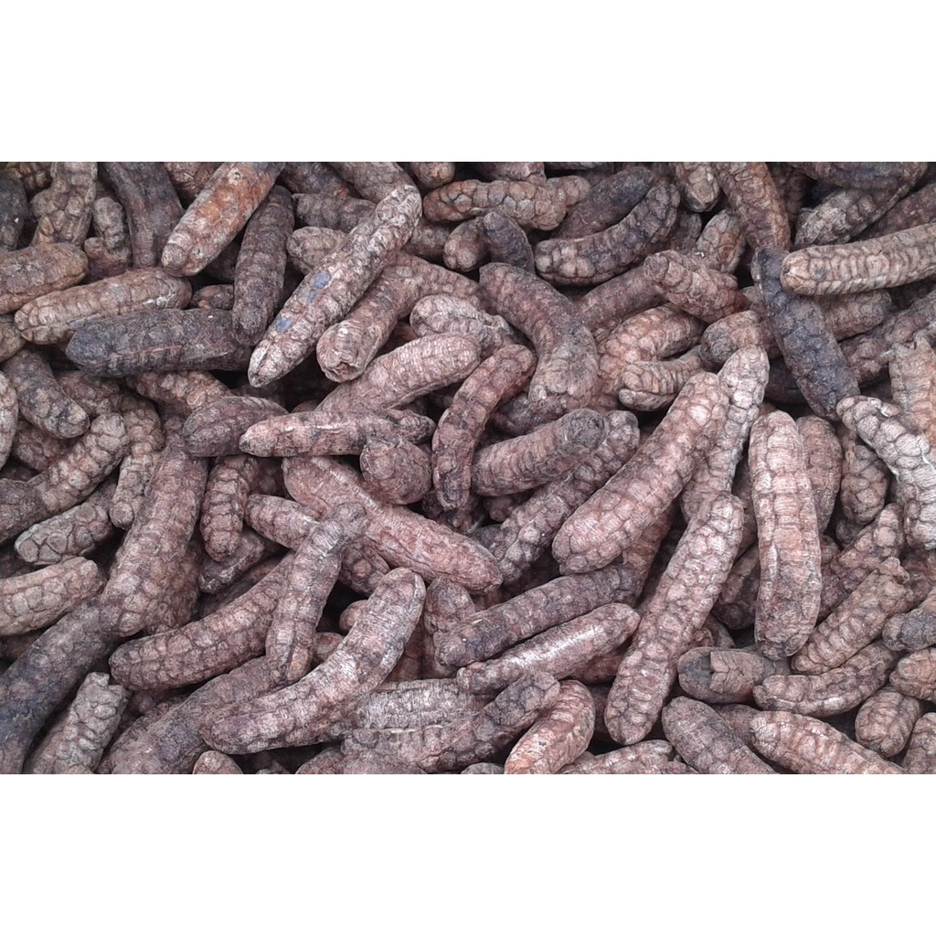 Chuối hột rừng nguyên quả sấy khô 1kg