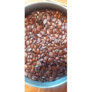 Hạt giống keo dậu (keo cuba)