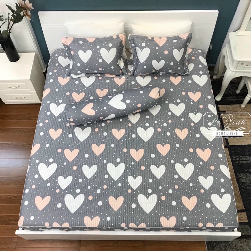Bộ Ga Chun Trần Cotton Hàn Quốc Trần Bông Kèm 2 Vỏ Gối m6 m8 2m2 nhiều mẫu