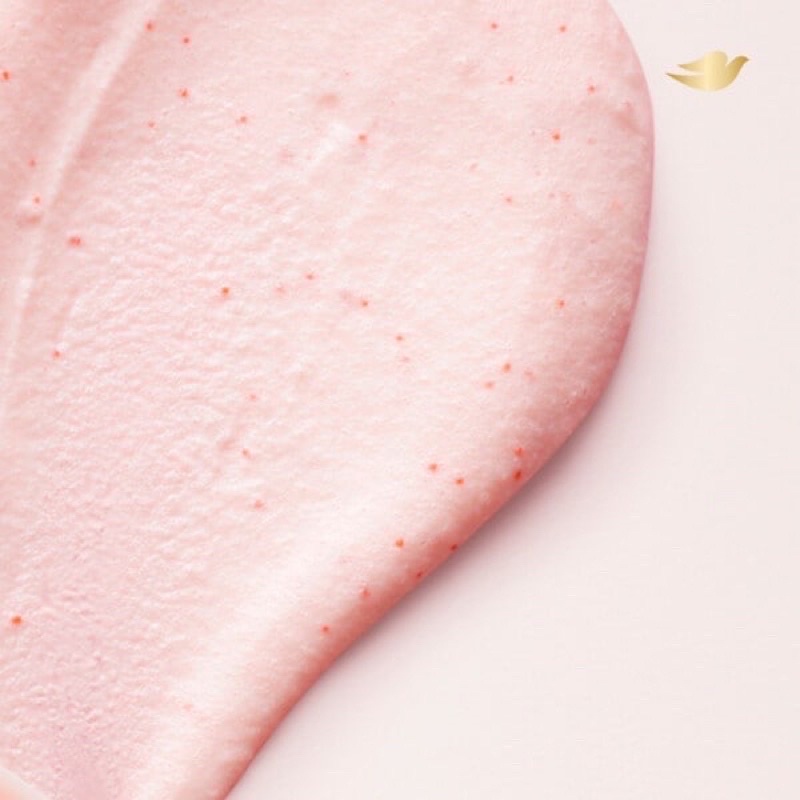 TẨY TBC BODY DOVE 225G - BẢN ĐỨC