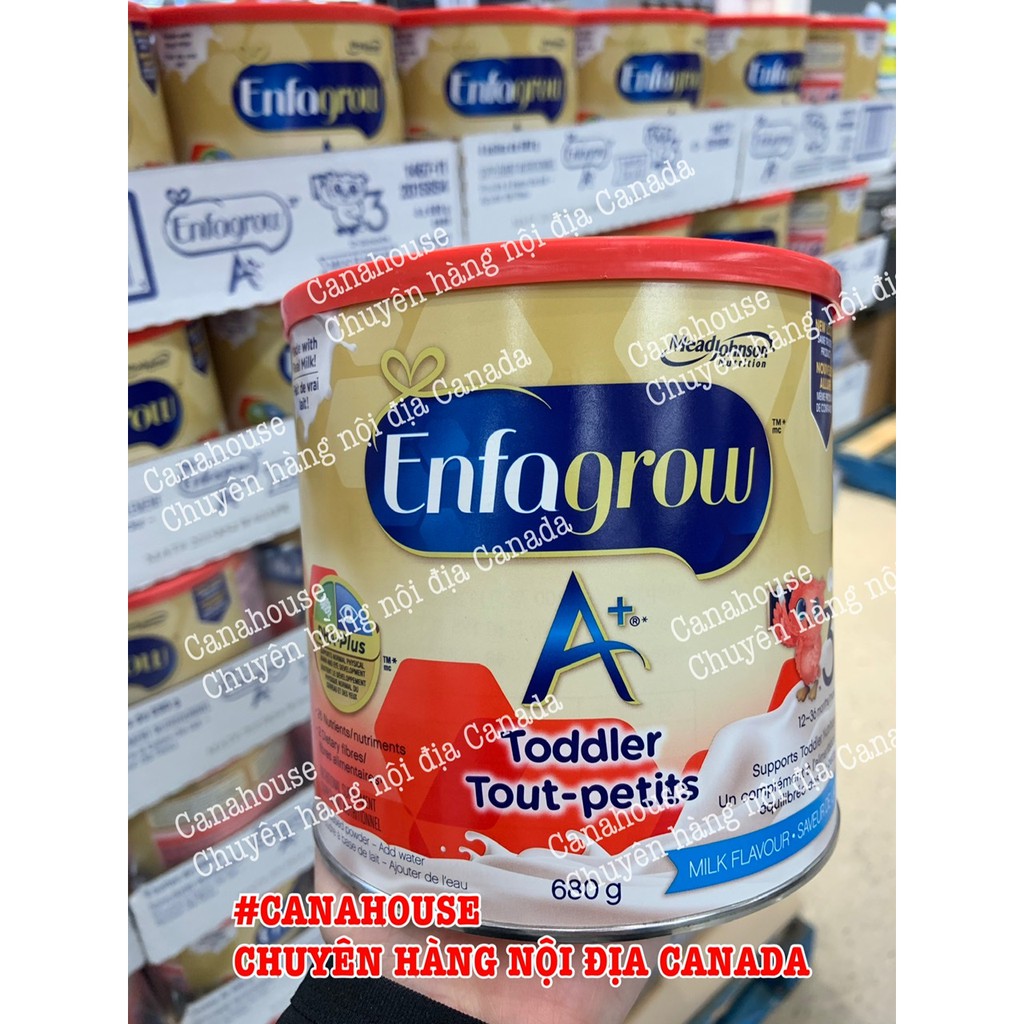 Sữa bột Enfagrow A+ Canada  Số 3 680gr - Vị Sữa