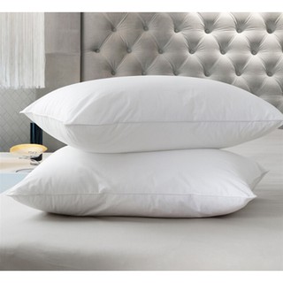 COMBO 2 GỐI ÉP HƠI 40x60cm - COTTON 100%