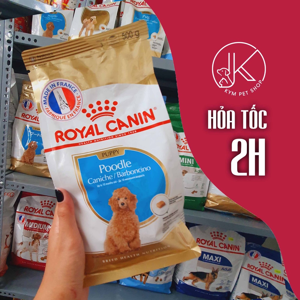 ROYAL CANIN POODLE - Thức ăn hạt khô dành riêng cho giống chó Poodle