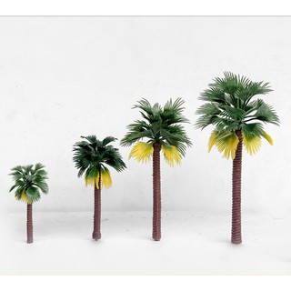 Cây Cọ 15cm