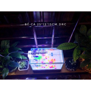 Bể cá mini 25cm- 30cm + đèn led ( tặng phụ kiện)