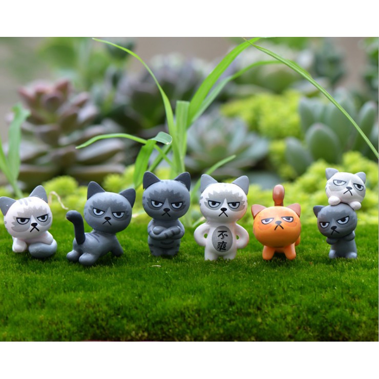 Mô hình mèo hoàng thượng tức giận để bàn