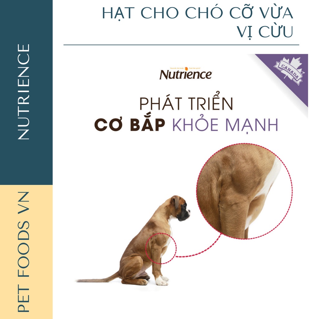 Hạt cho chó cỡ vừa NUTRIENCE Original Medium Breed 5kg vị Cừu