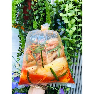 Túi 500g Kim chi cải thảo Hàn Quốc