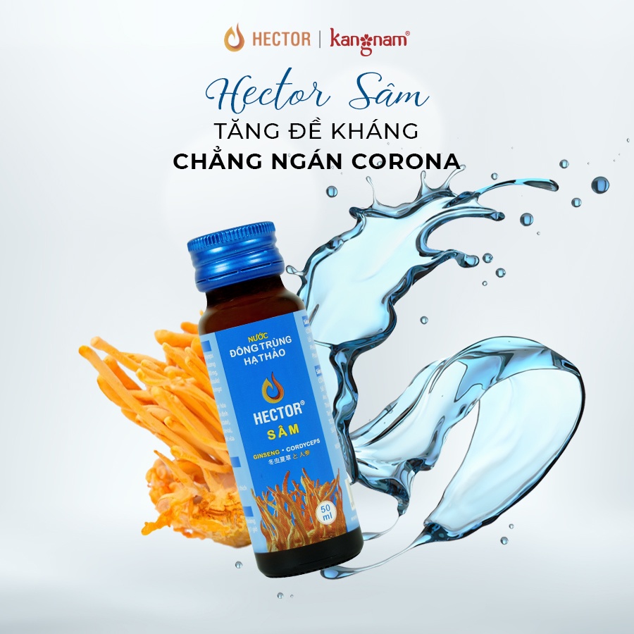 Nước Đông Trùng Hạ Thảo Hector Sâm Hộp 10 Chai x 50ml Hector Cordyceps Ginseng