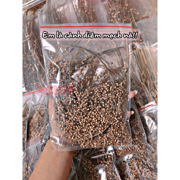 Ngũ cốc nguyên cành