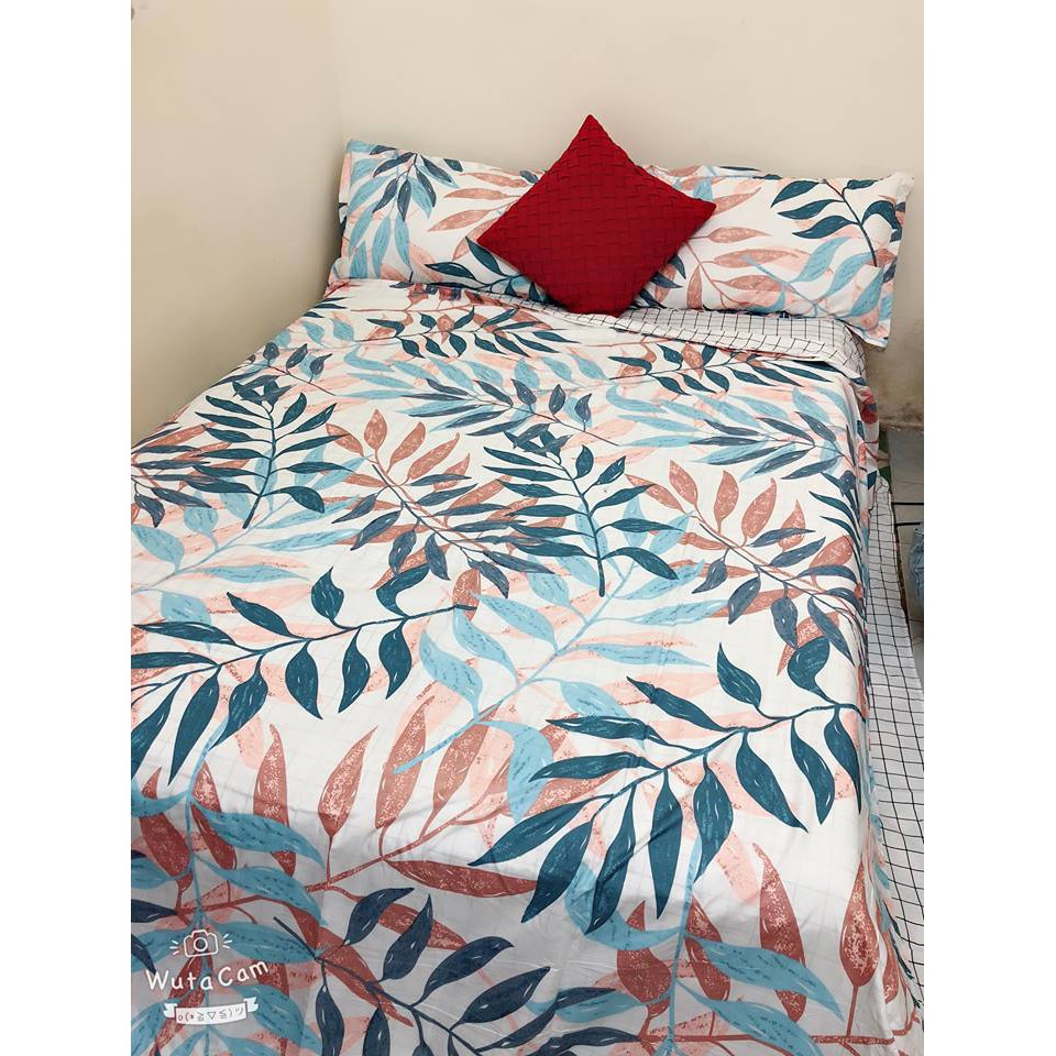Bộ chăn, ga, gối poly cotton
