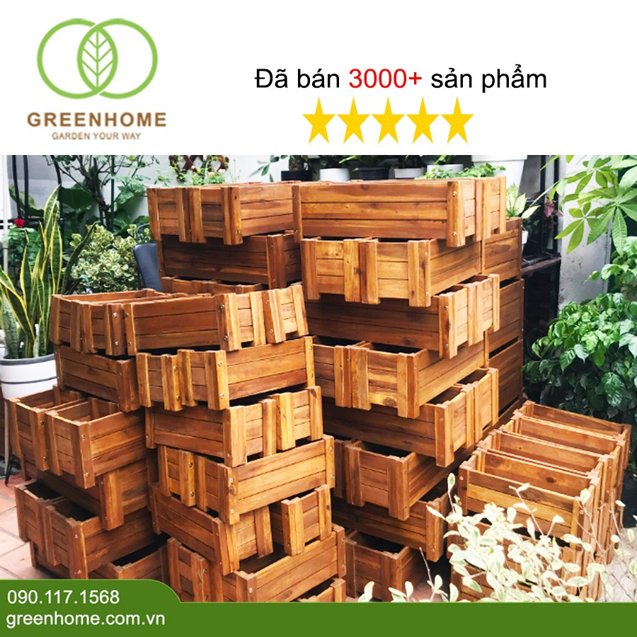 Bộ 2 Chậu gỗ trồng cây, chữ nhật D60xR22xC20cm, gỗ tràm chịu nước, tặng 2 hộp dưỡng hoa tươi lâu |Greenhome