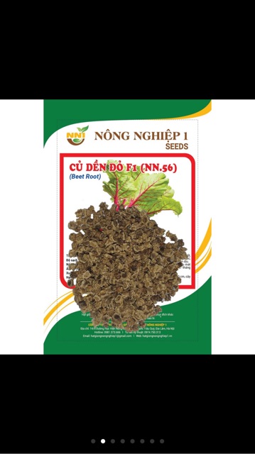 Hạt giống củ dền đỏ 1- gói 10 gr